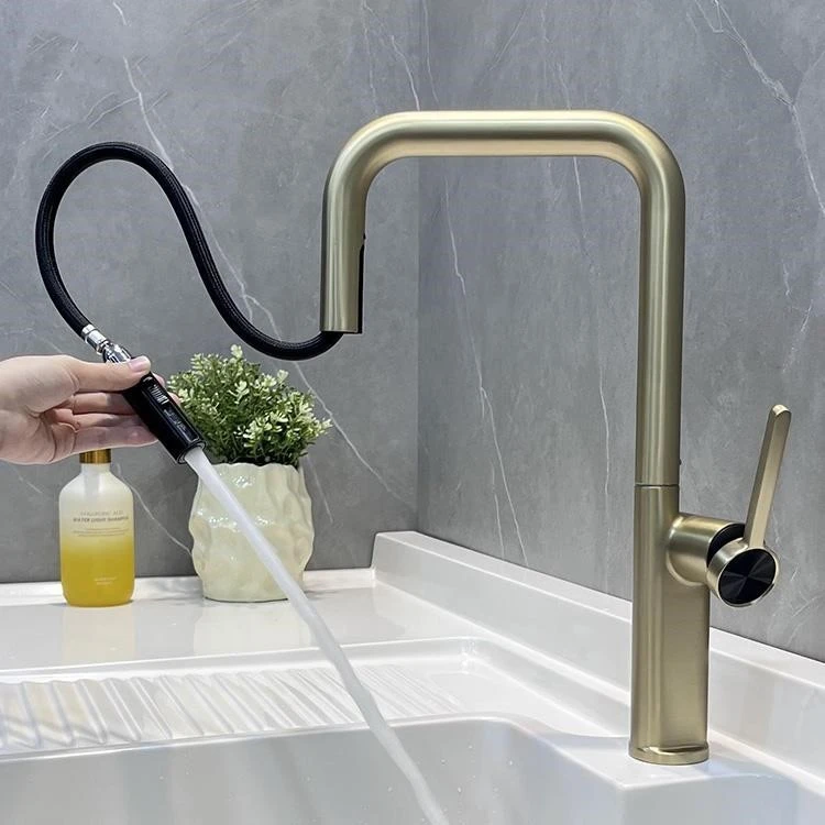 Black Gold Pull Out Faucet suppliers