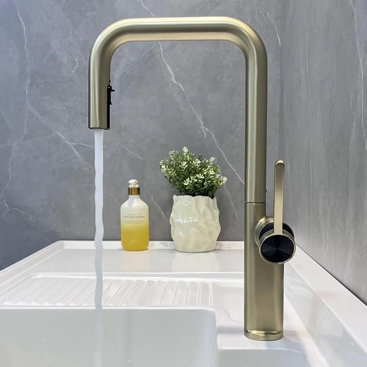 Black Gold Pull Out Faucet best